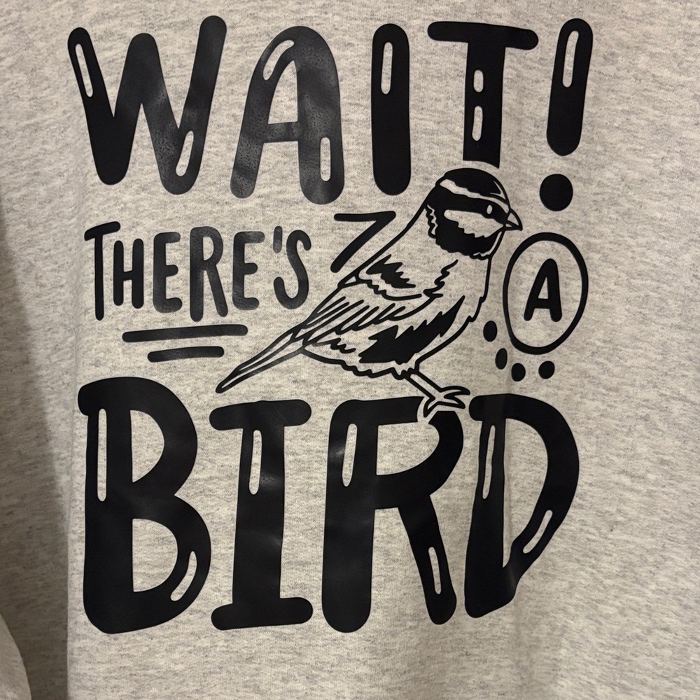 Gray Bird Graphic Hoodie - Picture 2 of 4